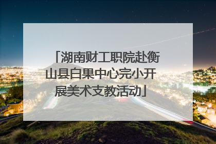 湖南财工职院赴衡山县白果中心完小开展美术支教活动