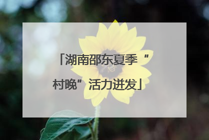 湖南邵东夏季“村晚”活力迸发