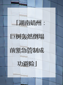 湖南靖州：巨树轰然倒塌前紧急管制成功避险