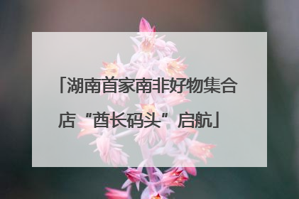 湖南首家南非好物集合店“酋长码头”启航