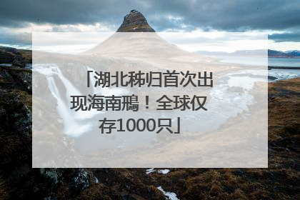 湖北秭归首次出现海南鳽！全球仅存1000只
