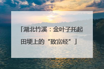 湖北竹溪：金叶子托起田埂上的“致富经”