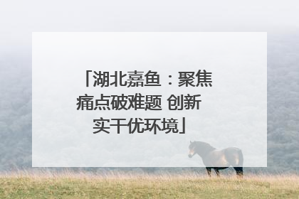 湖北嘉鱼：聚焦痛点破难题 创新实干优环境