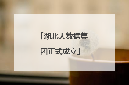 湖北大数据集团正式成立