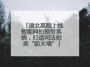湖北高院上线智能网拍预警系统，打造司法拍卖“防火墙”