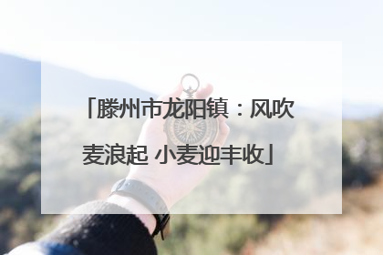 滕州市龙阳镇：风吹麦浪起 小麦迎丰收
