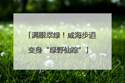 满眼翠绿！威海步道变身“绿野仙踪”