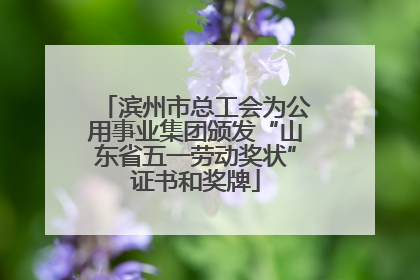 滨州市总工会为公用事业集团颁发“山东省五一劳动奖状”证书和奖牌