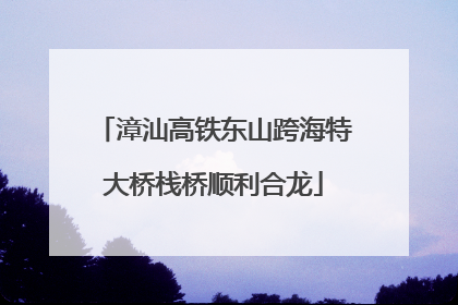 漳汕高铁东山跨海特大桥栈桥顺利合龙
