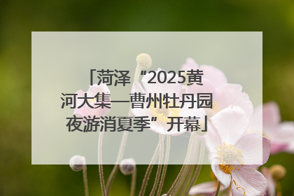 菏泽“2025黄河大集—曹州牡丹园夜游消夏季”开幕