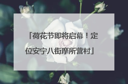 荷花节即将启幕！定位安宁八街摩所营村