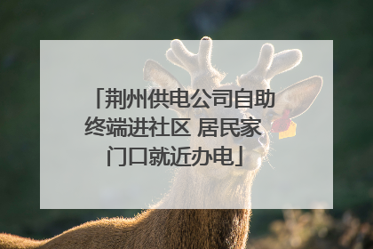 荆州供电公司自助终端进社区 居民家门口就近办电