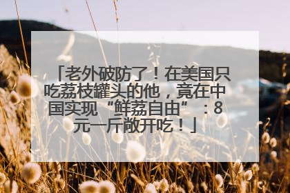 老外破防了！在美国只吃荔枝罐头的他，竟在中国实现“鲜荔自由”：8元一斤敞开吃！