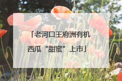 老河口王府洲有机西瓜“甜蜜”上市