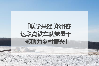 联学共建 郑州客运段高铁车队党员干部助力乡村振兴