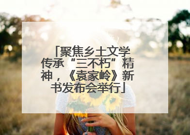 聚焦乡土文学 传承“三不朽”精神，《袁家岭》新书发布会举行