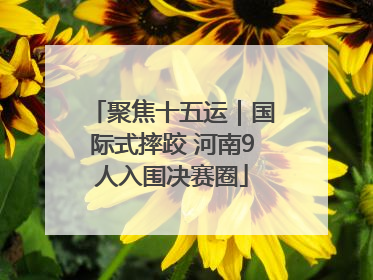 聚焦十五运｜国际式摔跤 河南9人入围决赛圈