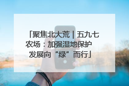 聚焦北大荒｜五九七农场：加强湿地保护 发展向“绿”而行