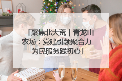 聚焦北大荒｜青龙山农场：党建引领聚合力 为民服务践初心