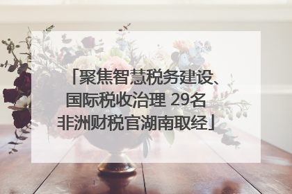 聚焦智慧税务建设、国际税收治理 29名非洲财税官湖南取经