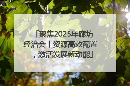 聚焦2025年廊坊经洽会丨资源高效配置，激活发展新动能