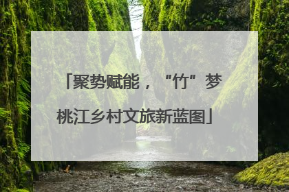 聚势赋能，“竹”梦桃江乡村文旅新蓝图