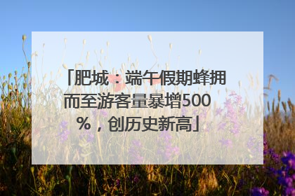 肥城：端午假期蜂拥而至游客量暴增500%，创历史新高