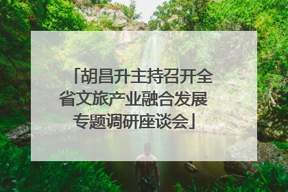 胡昌升主持召开全省文旅产业融合发展专题调研座谈会