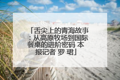 舌尖上的青海故事：从高原牧场到国际餐桌的进阶密码 本报记者 罗 珺