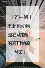 芒种到丨来北京动物园看动物们的夏日纳凉图鉴