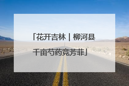 花开吉林｜柳河县千亩芍药竞芳菲