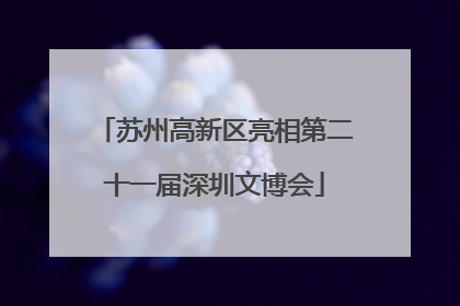 苏州高新区亮相第二十一届深圳文博会