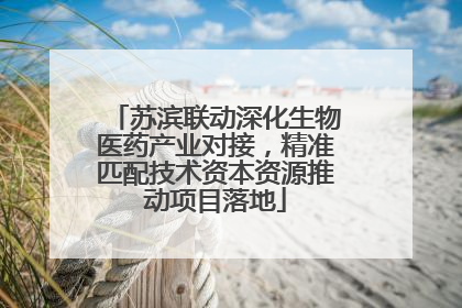 苏滨联动深化生物医药产业对接，精准匹配技术资本资源推动项目落地