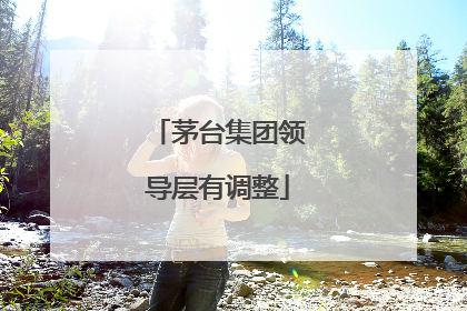 茅台集团领导层有调整