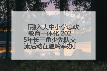 融入大中小学思政教育一体化 2025年长三角少先队交流活动在温岭举办