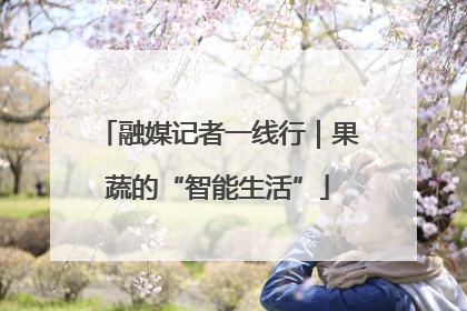 融媒记者一线行｜果蔬的“智能生活”
