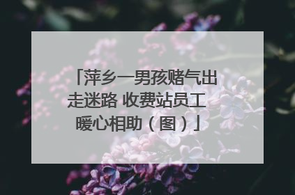 萍乡一男孩赌气出走迷路 收费站员工暖心相助（图）