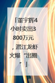 董宇辉4小时卖出3800万元，潜江龙虾火爆“出圈”