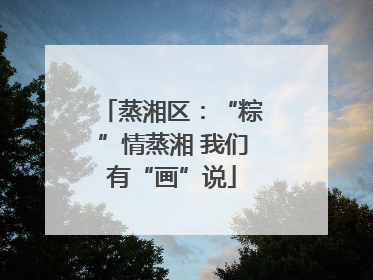 蒸湘区：“粽”情蒸湘 我们有“画”说