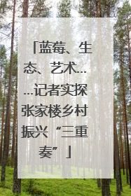蓝莓、生态、艺术……记者实探张家楼乡村振兴“三重奏”