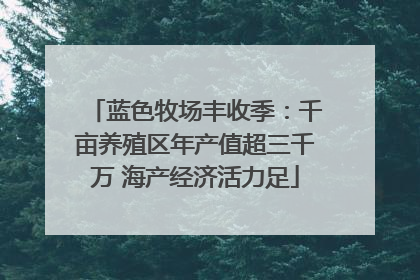 蓝色牧场丰收季：千亩养殖区年产值超三千万 海产经济活力足