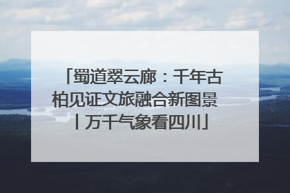 蜀道翠云廊：千年古柏见证文旅融合新图景丨万千气象看四川