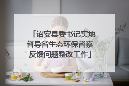 诏安县委书记实地督导省生态环保督察反馈问题整改工作