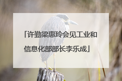 许勤梁惠玲会见工业和信息化部部长李乐成