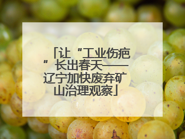 让“工业伤疤”长出春天——辽宁加快废弃矿山治理观察