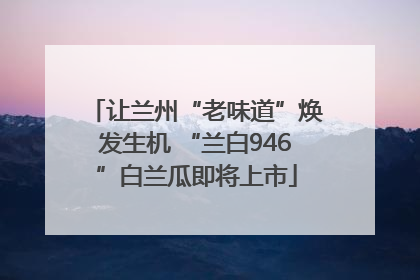 让兰州“老味道”焕发生机 “兰白946”白兰瓜即将上市