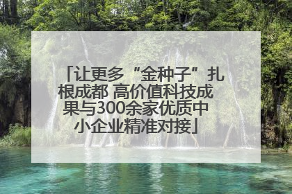 让更多“金种子”扎根成都 高价值科技成果与300余家优质中小企业精准对接