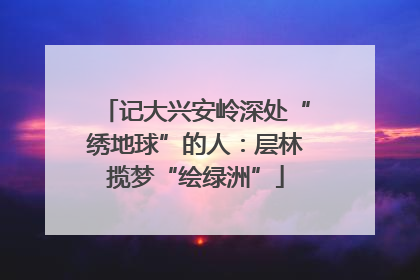 记大兴安岭深处“绣地球”的人：层林揽梦“绘绿洲”