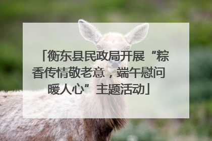 衡东县民政局开展“粽香传情敬老意，端午慰问暖人心”主题活动