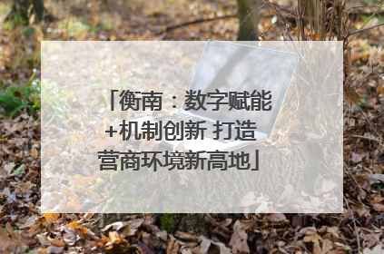 衡南：数字赋能+机制创新 打造营商环境新高地